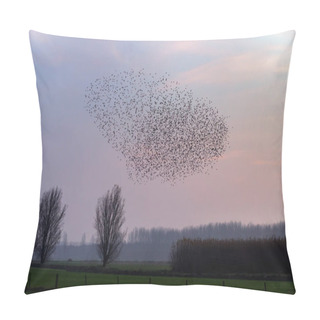 Personality  He Murmurations Of Starlings On Sunset  Pillow Covers