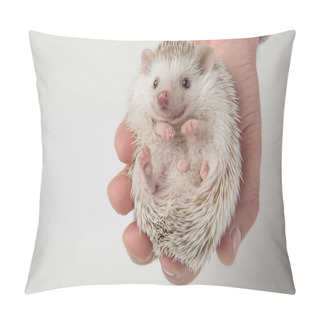 Personality  Person Holding Cute Grey Hedgehog In Palm On Light Grey Background Pillow Covers