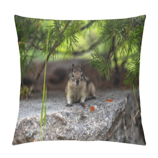 Personality  A Yellow Pine Chipmunk At Lewis And Clark Cavern SP, Montana Pillow Covers