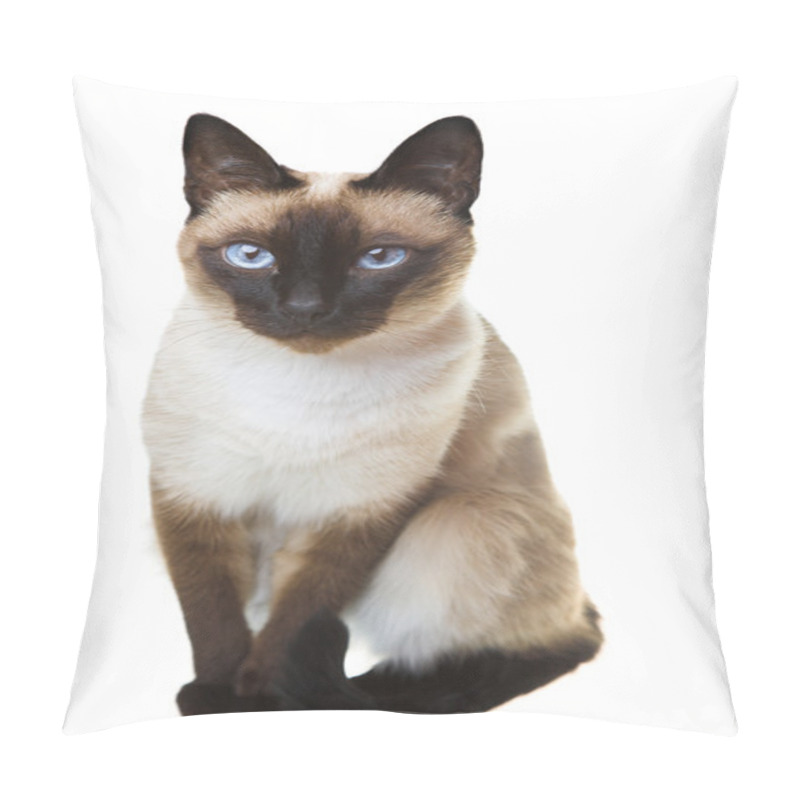 Personality  Siamese cat pillow covers