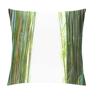 Personality  Bamboo Forest Background. Copy Space Pillow Covers