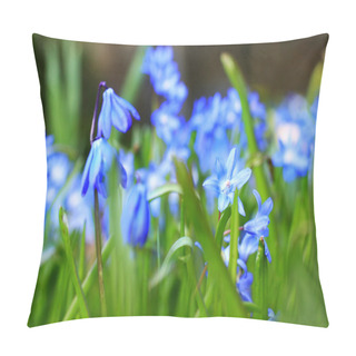 Personality  Beautiful, Blue, Spring Scilla Flowers Pillow Covers