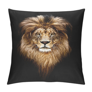 Personality  Portrait Of A Beautiful Lion, Lion In Dark. Royal Portrait. Pillow Covers