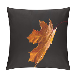Personality  One Falling Orange Maple Leaf Isolated On Black, Autumn Background Pillow Covers