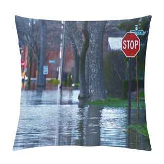Personality  Flooded Street Pillow Covers