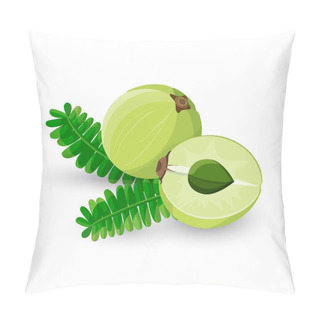 Personality  Amla Fruit Vector Illustration Phyllanthus Emblica Pillow Covers