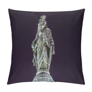 Personality  Freedom Statue Top US Capitol North Side Night Stars Washington  Pillow Covers