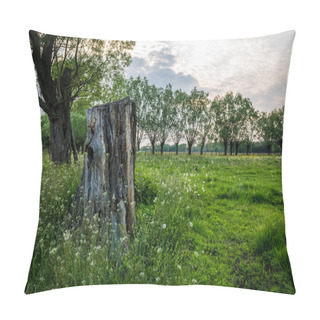 Personality  Pasturage In Poland Pillow Covers
