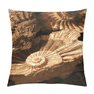 Personality  Shell Background Pillow Covers