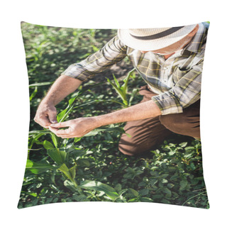 Personality  Self-employed Farmer In Straw Hat Sitting Near Green Corn Field  Pillow Covers