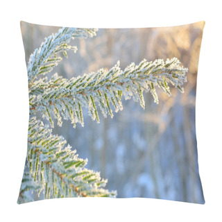Personality  Pine Tree Covered With Frost Close-up Pillow Covers