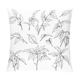 Personality  Ficus Branches Sketch Pillow Covers