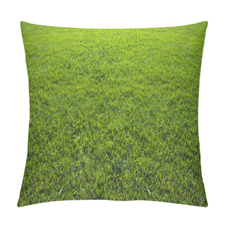 Personality  Background Of Beautiful Green Grass Pattern Pillow Covers