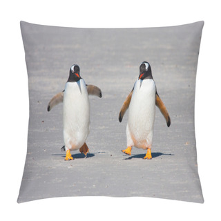 Personality  Gentoo Penguins On Barrientos Island Pillow Covers