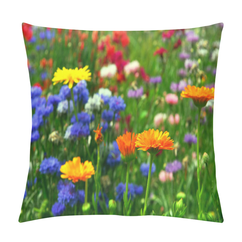 Personality  Background Of Colorful Mixed Flowers Growing In A Garden Pillow Covers