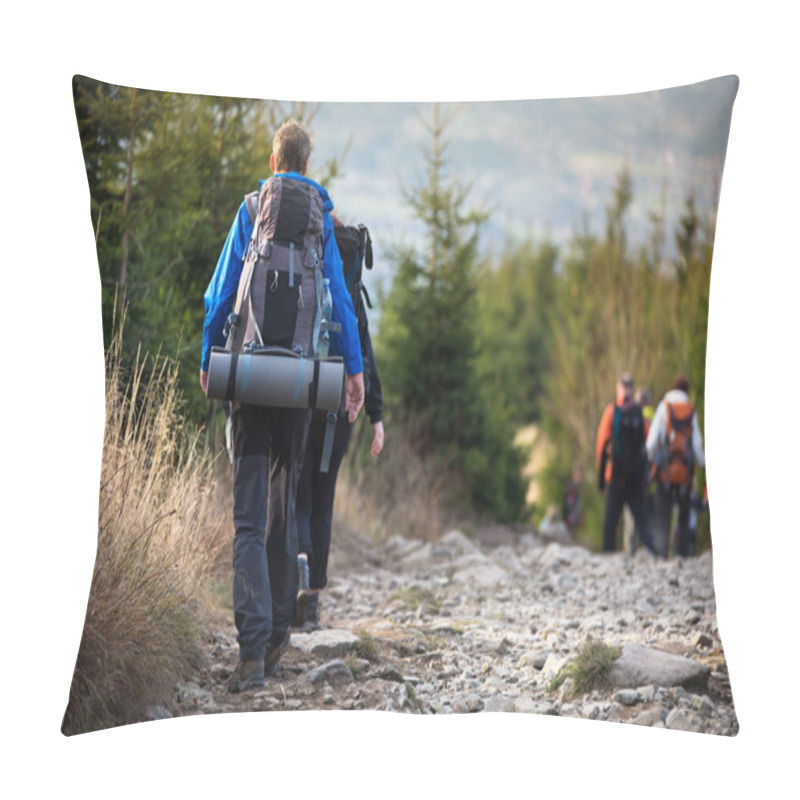 Personality  People Hiking - Goiing Down A Lovely Alpine Path Pillow Covers