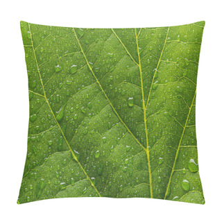 Personality  Green Leaf With Drops Pillow Covers