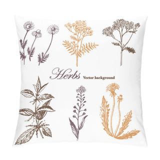 Personality  Set Of Medicinal Herbs. Pillow Covers