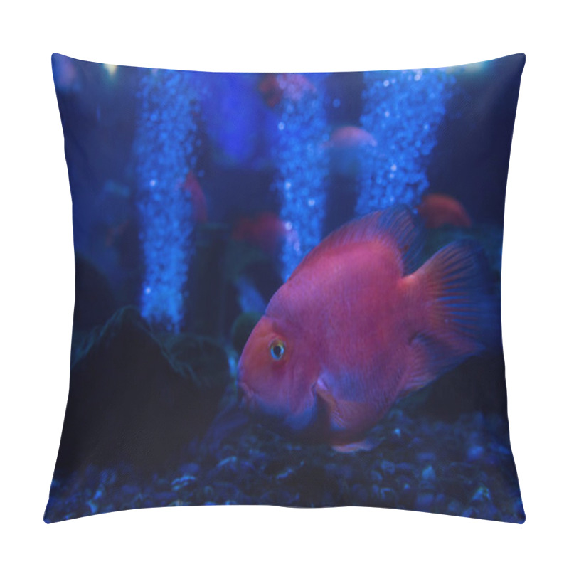 Personality  Fish Swimming Under Water In Aquarium With Neon Lighting Pillow Covers