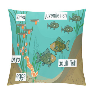 Personality  Pond Ecosystem And Life Cycle Of Fish. Sequence Of Stages Of Development Of Fish From Egg (roe) To Adult Animal Pillow Covers
