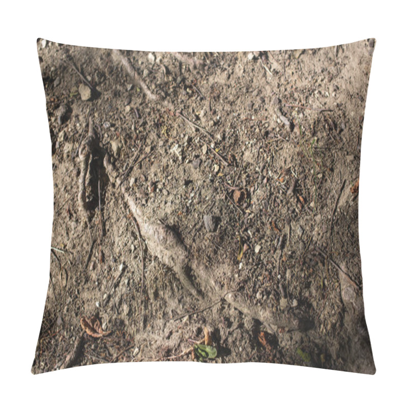 Personality  Top View Of Ground With Tree Roots Pillow Covers