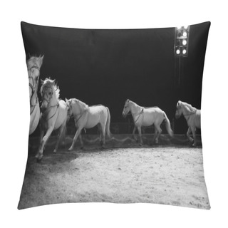 Personality  Horses During Training Before Performance Pillow Covers