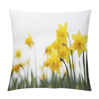 Personality  Yellow Daffodils Pillow Covers