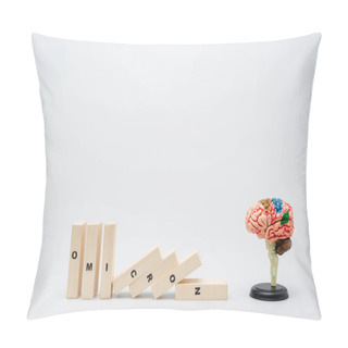 Personality  Wooden Bricks With Omicron Lettering Near Brain Model On Grey Background Pillow Covers