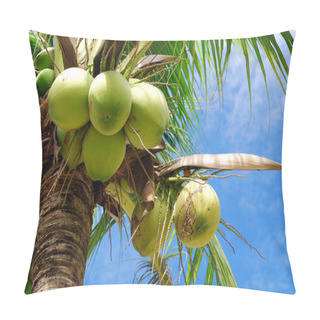 Personality  Coconut Tree Pillow Covers