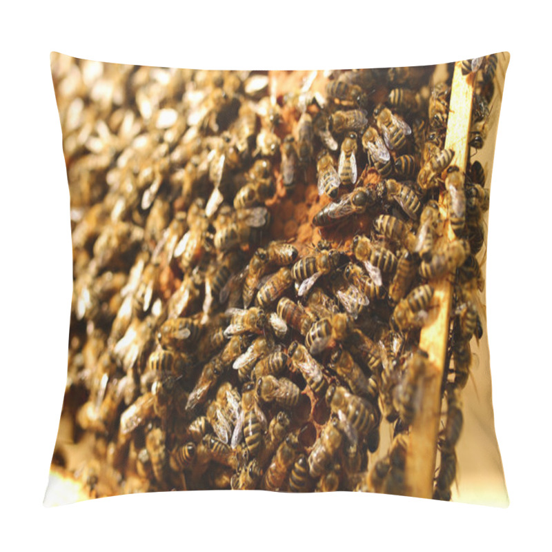 Personality  Bees Inside A Beehive With The Queen Bee In The Middle Pillow Covers