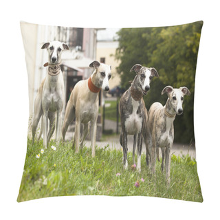 Personality  Group Dog Pillow Covers