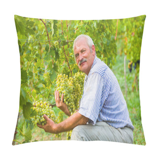 Personality  Happy Agrarian At Grape Field Pillow Covers
