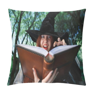 Personality  Image Of Sinister Witch With Book Of Spells Pillow Covers