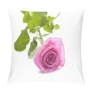 Personality  Pink Rose Macro Pillow Covers