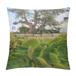 Personality  A Tranquil Garden Scene With A Vibrant Green Tree Standing Tall Against The Clear Blue Sky, Surrounded By Various Succulents And Plants, Adding Life To The Outdoor Space In Front Of A Quaint House Pillow Covers
