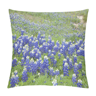 Personality  Selective Focus View Of Texas Bluebonnets On A Hillside Pillow Covers
