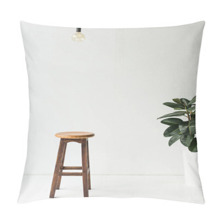 Personality  Wooden Chair, Lamp And Potted Plant On White Pillow Covers