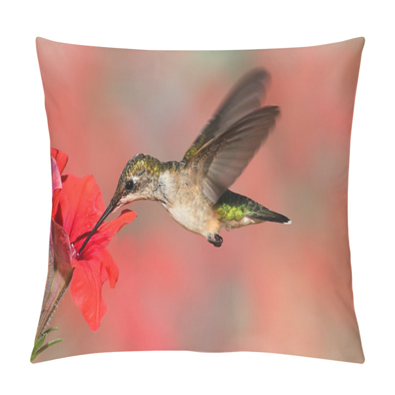 Personality  Ruby-throated Hummingbird In Flight Pillow Covers
