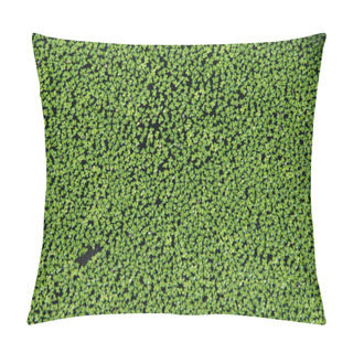 Personality  Common Duckweed Pillow Covers