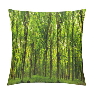Personality  Forest Trees. Pillow Covers