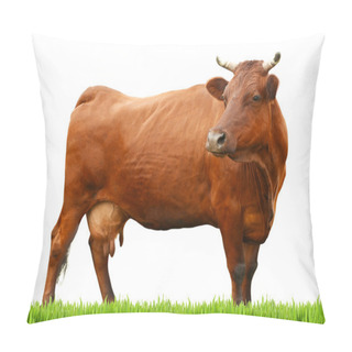 Personality  Cow On White Background. Farm Animal Concept. Pillow Covers