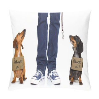 Personality  Homeless Dog To Adopt  Pillow Covers