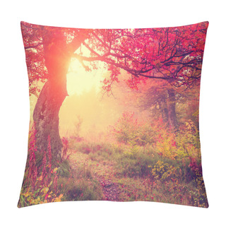 Personality  Majestic Autumn Trees In Forest Pillow Covers