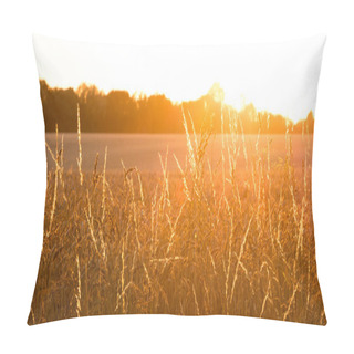 Personality  Golden Wheat Field With Sunrays Panorama Pillow Covers
