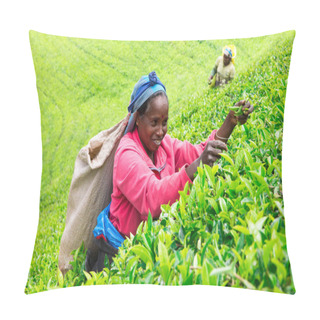 Personality  Tea Pickers At Work Pillow Covers