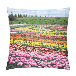 Personality  Close Up View Of Colorful Tulips Field With Blue Sky And Clouds Pillow Covers