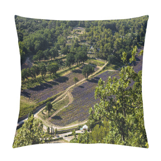 Personality  Aerial View Of Beautiful Blooming Lavender Field And Green Trees, Provence, France Pillow Covers