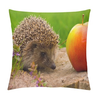 Personality Hedgehog And Apple On The Tree Stump Pillow Covers
