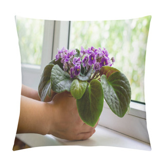 Personality  Young Female Hands Hold Flower Pot With Blossoming African Violet Flower Saintpaulia With Green Leaves.  Pillow Covers