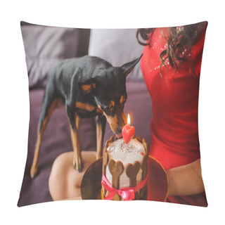 Personality  Toy Terrier Dog Eating Cake With Candle From Womans Hands Pillow Covers